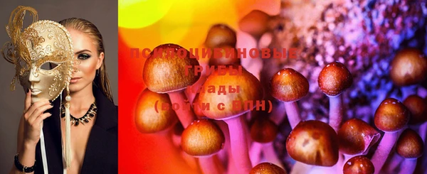 круглые Алексеевка